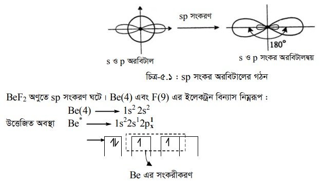 সংকর অরবিটাল