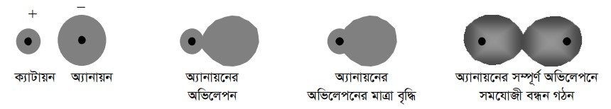 পোলারিটি ও পোলারায়ন