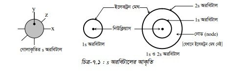 অরবিট ও অরবিটাল
