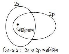 অরবিটাল